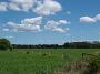 landsdowne-coopernook 014